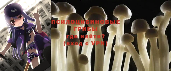 стаф Алексин