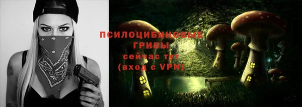 стаф Алексин