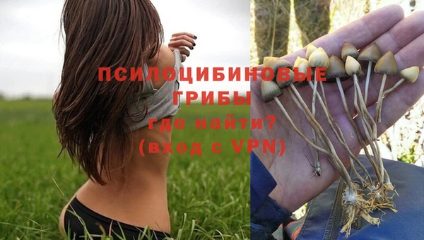 бошки Алзамай