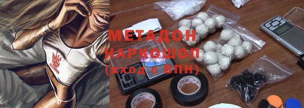 стаф Алексин