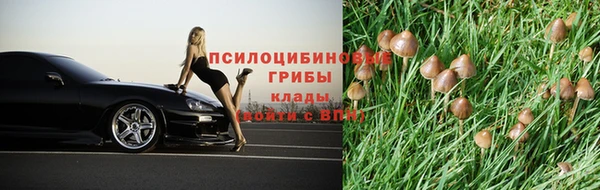 стаф Алексин