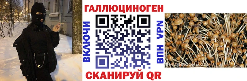 Галлюциногенные грибы Cubensis  KRAKEN ссылка  Бологое 